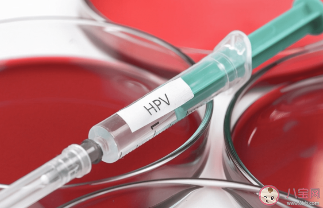 九价HPV疫苗为什么只能在26岁前接种 九价HPV疫苗常见诈骗手段