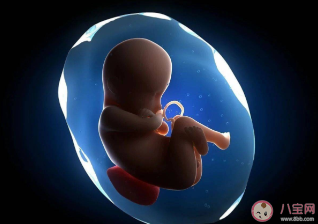 胎儿|宝宝在羊水中为什么不会呛水 胎儿在子宫里如何呼吸