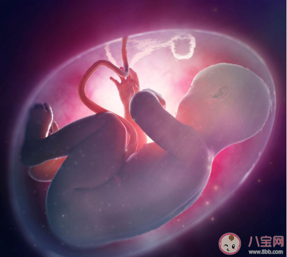 宝宝在羊水中为什么不会呛水胎儿在子宫里如何呼吸