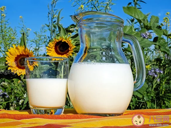 颜色偏黄的牛奶营养价值更高吗 为什么现在的牛奶没有奶香味
