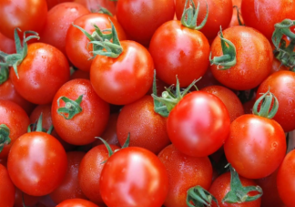 没熟透的西红柿怎么储存比较好 蚂蚁庄园3月31日正确答案