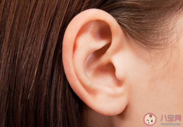 耳朵大|耳朵大的人更有福气吗 耳朵大小和寿命长短有关系吗