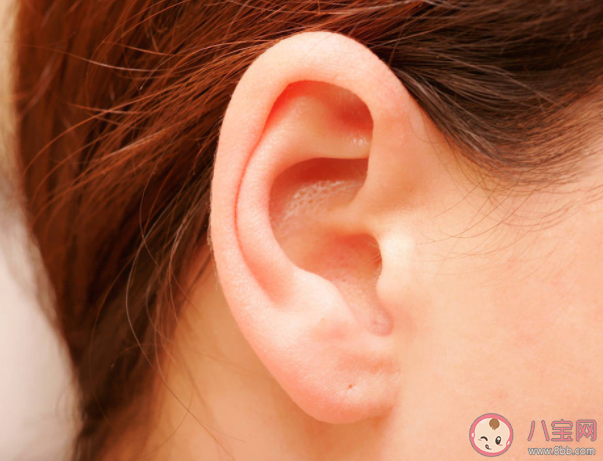 耳垂|耳垂上有折痕是有心脏疾病吗 怎么根据耳朵看健不健康