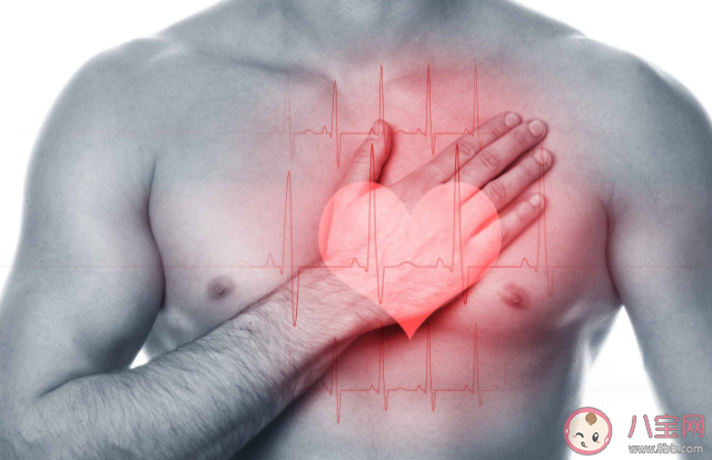 心脏|心脏想告诉你的十件事 关于心脏的10个冷知识