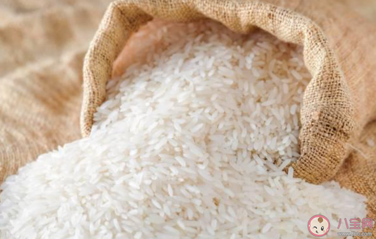 米生虫|米放久了为什么会生虫 怎样防止大米生虫