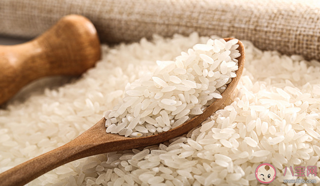 米生虫|米放久了为什么会生虫 怎样防止大米生虫