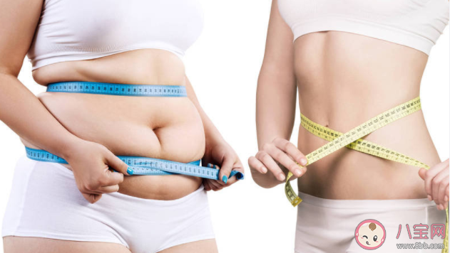 减肥防止反弹|减肥如何防止反弹 减肥成功后要做什么