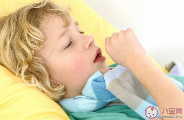 二前汤|二前汤和杏桃宁两个方有什么区别 怎么让孩子咳嗽好得快