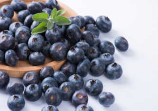 蓝莓上的白霜越多越新鲜吗 野生蓝莓和种植蓝莓哪种营养更好