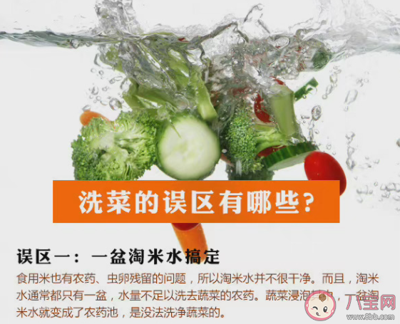 淀粉和盐水哪个洗菜更干净 蔬菜如何洗最干净