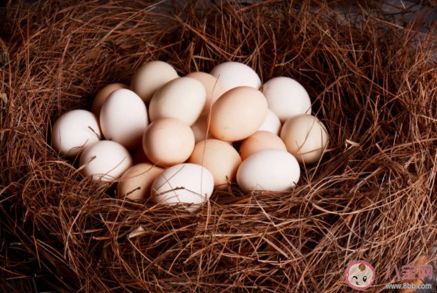 孩子吃土鸡蛋比吃普通鸡蛋营养更好吗 怎么分辨真假土鸡蛋