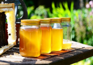蜂蜜颜色深好还是浅好 蜂蜜和蜂王浆有什么不同
