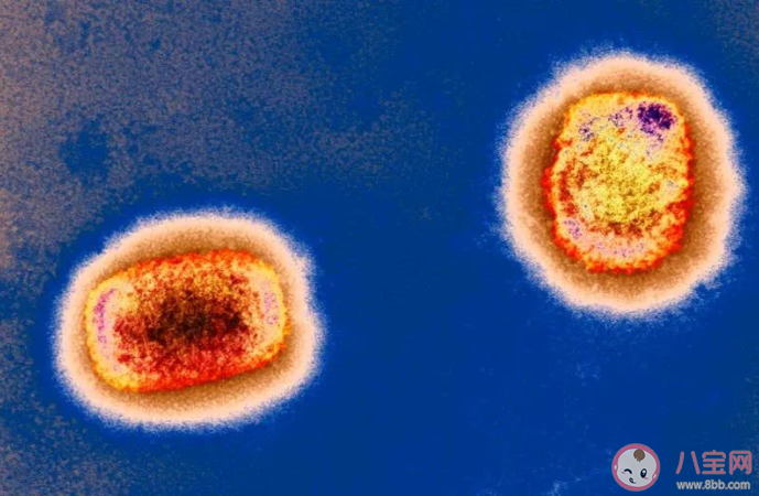 猴痘病毒可以治疗吗 猴痘病毒如何传播给人的