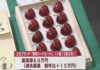 日本樱桃一颗拍出1980元天价 如何挑选口感好的樱桃