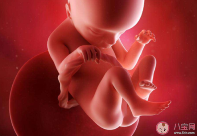 胎儿偏小是发育不好吗 胎儿偏小几周是正常的