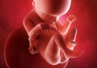 胎儿偏小是发育不好吗 胎儿偏小几周是正常的