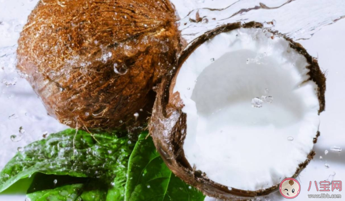 椰子|椰子里面为什么有水 夏季喝椰子汁有什么好处