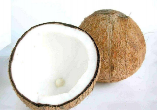 椰子里面为什么有水 夏季喝椰子汁有什么好处