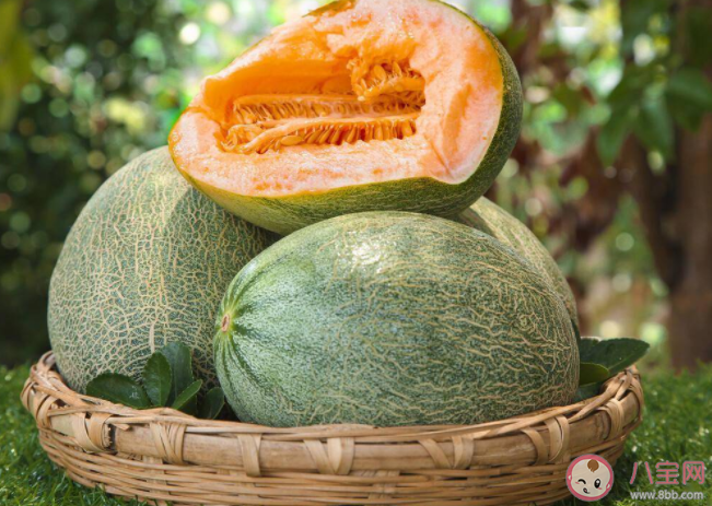 网纹甜瓜和哈密瓜是同一种水果吗 网纹甜瓜和哈密瓜有什么区别