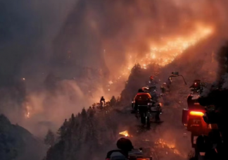 什么是以火灭火 森林火灾如何预防和避险