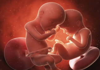 双胞胎在妈妈肚子里是如何相处的 怀双胞胎注意事项