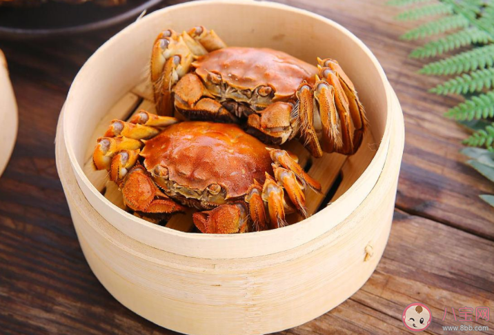 淡水蟹|淡水蟹可以生腌食用吗 全国哪里的螃蟹最好吃