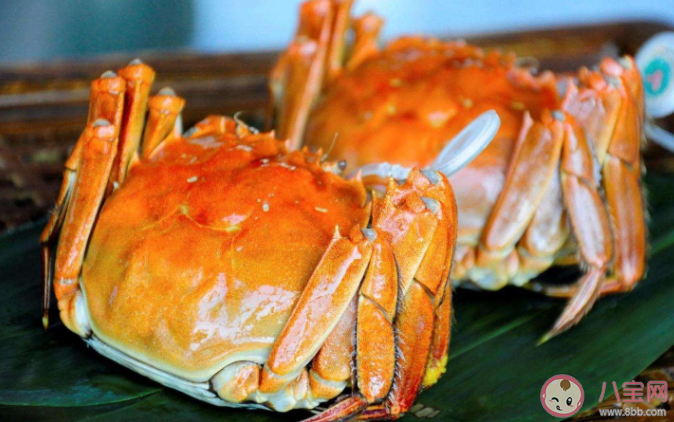 淡水蟹可以生腌食用吗 全国哪里的螃蟹最好吃