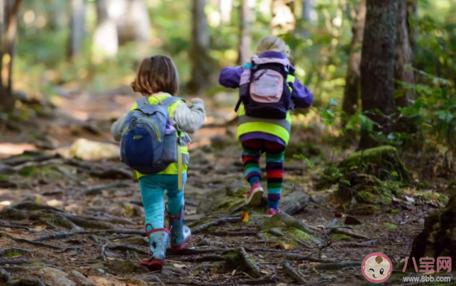 给孩子森林教育有何好处 如何给孩子展开森林教育