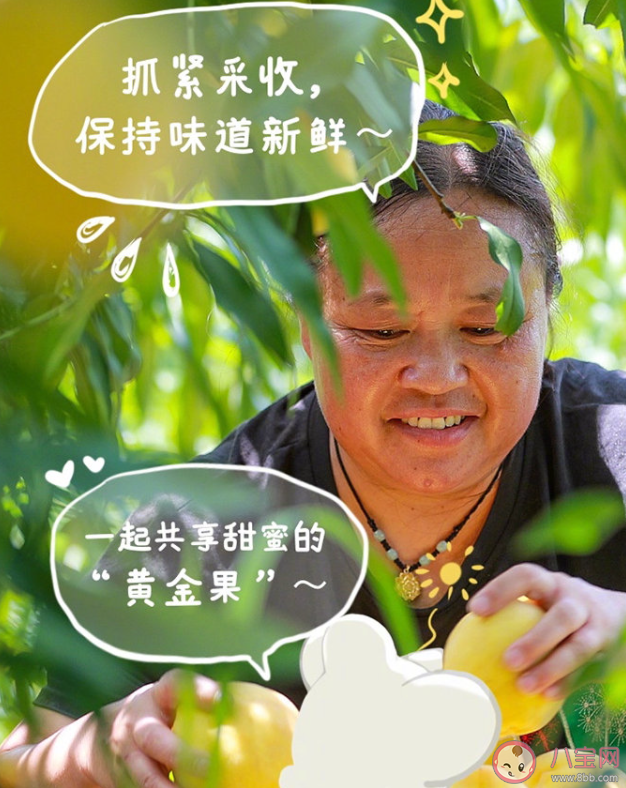 中国农民丰收节的正能量说说句子 中国农民丰收节发朋友圈说说