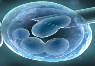 体外受精胚胎14天规则是什么意思 哪些情况可以选择体外受精