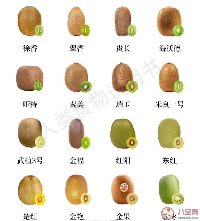 猕猴桃有哪些种类口味 红心黄心绿心猕猴桃哪种最好吃