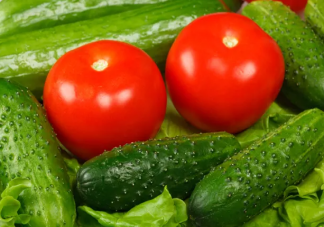 丹麦巨头宣布今冬停产西红柿和黄瓜 15年来首次停产是什么原因