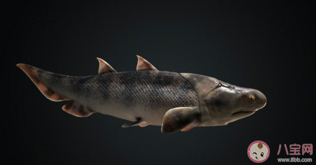 我国科学家证实人类是从鱼进化来的 从鱼到人演化过程是怎样的