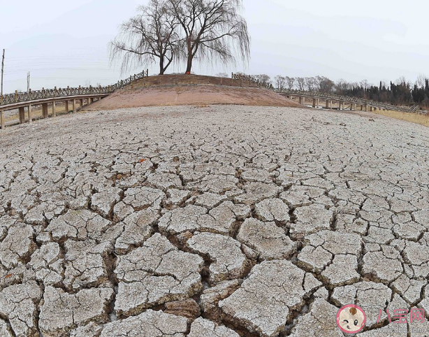 今年会出现罕见的寒冬吗 今年干旱为何持续时间那么长