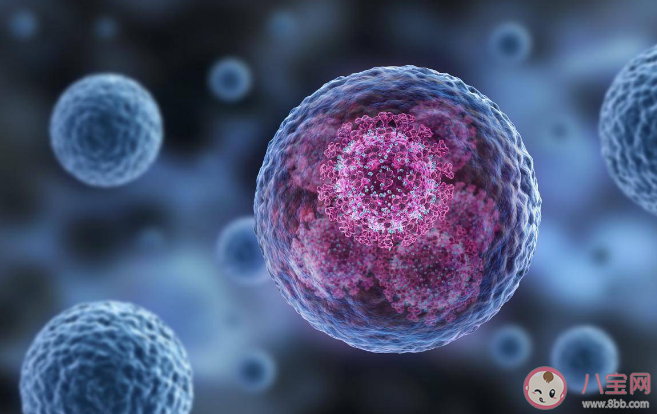 孩子打免疫球蛋白能提高免疫力吗 提高孩子免疫力的方法