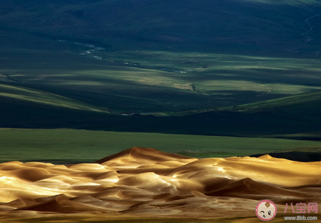 金色沙海也能长出绿色草场是怎么回事 沙漠是如何变绿洲的难点在哪