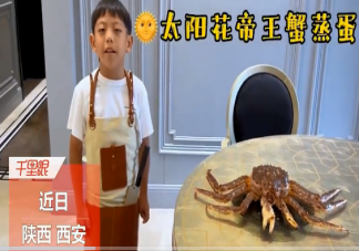家长回应孩子用千元帝王蟹比赛做饭说了什么 一般帝王蟹价格是多少