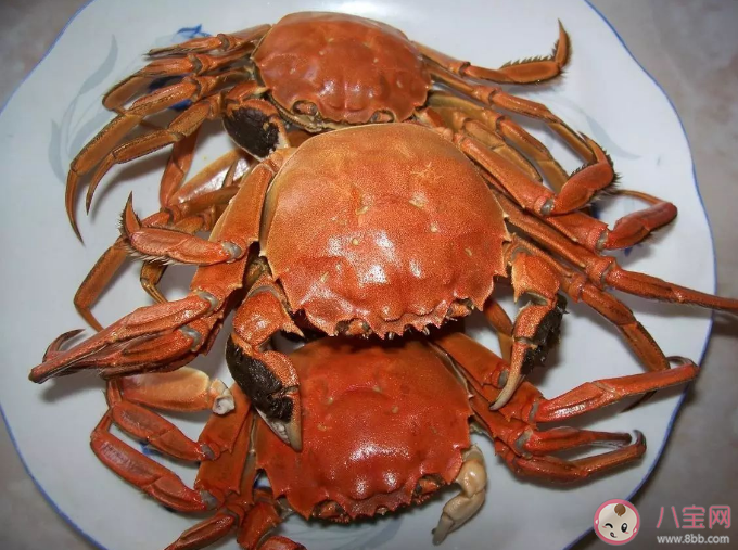 螃蟹|医生建议1顿饭吃螃蟹不超过2只 螃蟹食用过多有什么危害