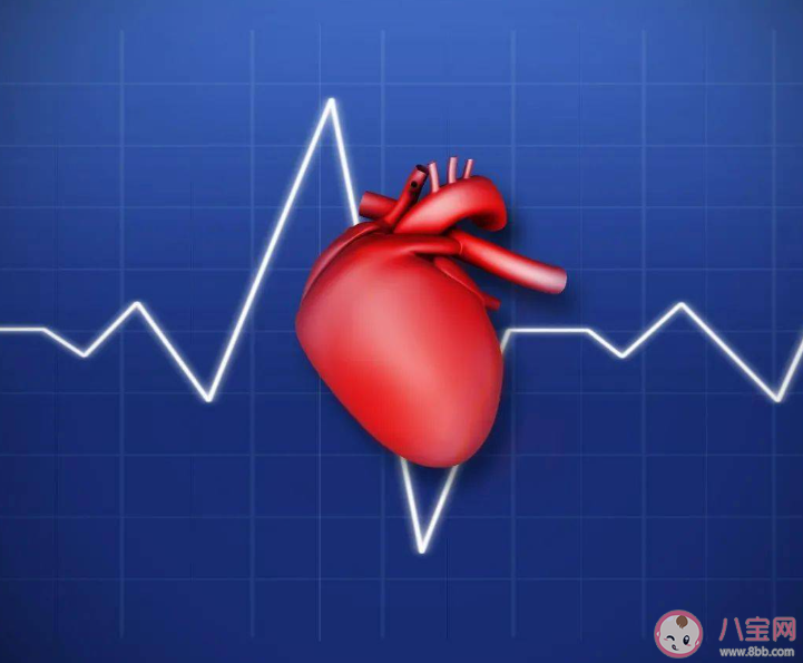 心跳|心跳稍慢的人更长寿 心率越慢则越容易长寿吗