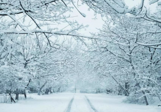 三重拉尼娜会让今年冬天很冷吗 今冬各城市初雪时间表