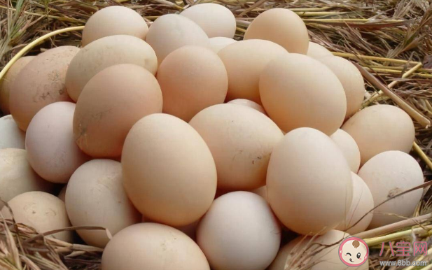 土鸡蛋更安全更有营养吗 土鸡蛋为什么更好吃
