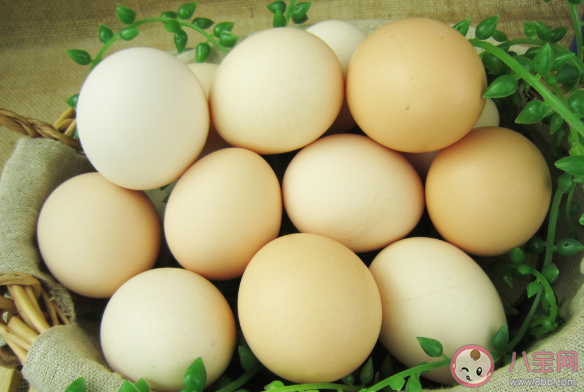 土鸡蛋更安全更有营养吗 土鸡蛋为什么更好吃