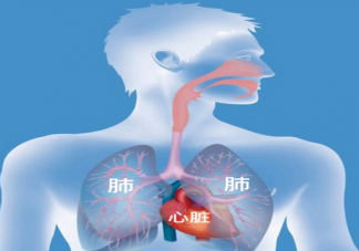 白肺会有哪些早期表现 白肺可以治愈预防吗