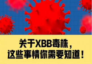 关于XBB毒株5问5答 XBB毒株如何预防