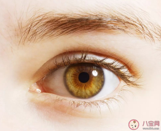 新冠病毒很可能存在眼部趋向性 新冠感染眼部护理要注意什么