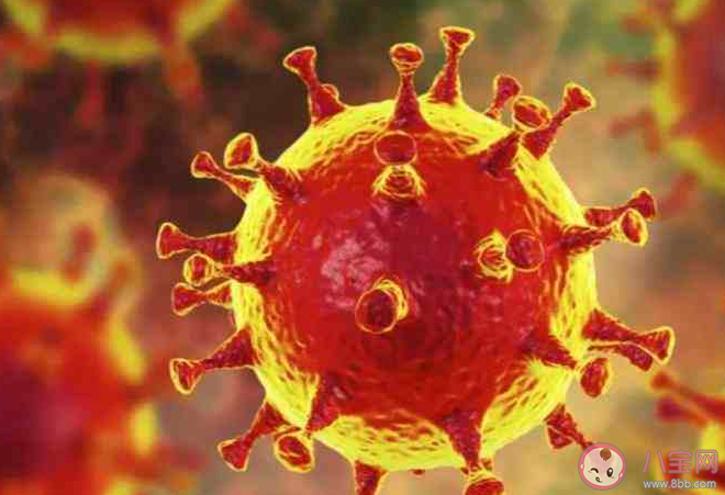 河南新冠病毒感染率近九成是真的吗 如何预防新冠病毒感染