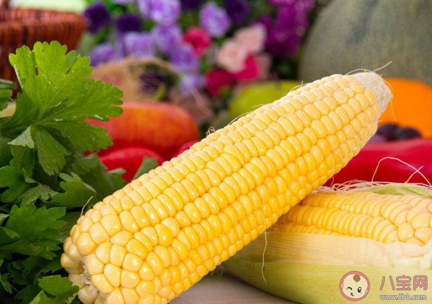 不同品种的玉米营养有什么区别 经常吃玉米有什么好处