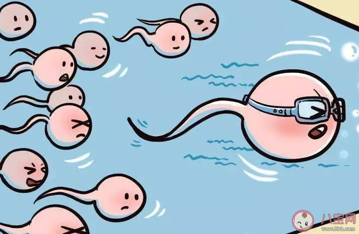 云南省人类精子库倡议大学生捐精 如何在日常生活中改善精液质量