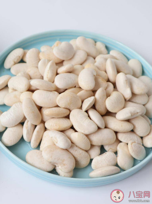 白芸豆真的可以减肥吗 白芸豆有什么营养