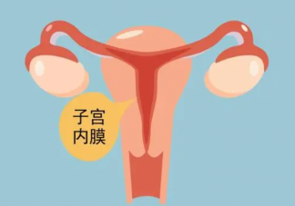 子宫内膜的厚度是一直不变的吗 子宫内膜有什么作用